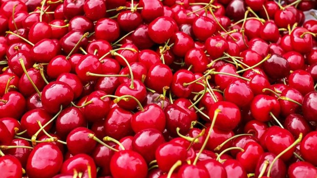 Precio de cerezas chilenas vive repunte tras caída por históricas exportaciones a China