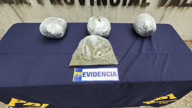 PDI detuvo a cinco sospechosos de tráfico de marihuana en Casablanca