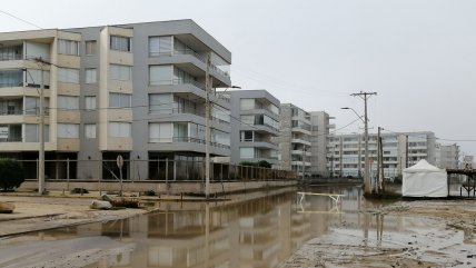   Greenpeace alerta que construcción de condominio amenaza playa y humedal en Los Molles 