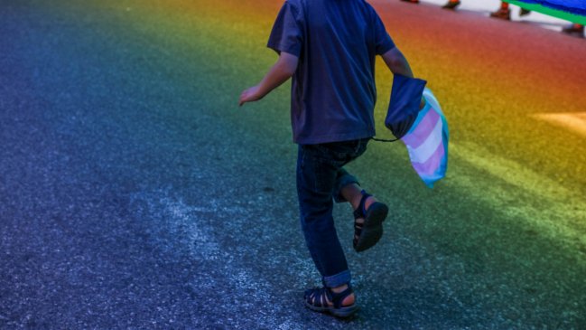Cámara aprobó informe que recomienda suspender programa de acompañamiento a niños trans