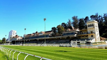  Jinete sufrió fatal accidente en el Sporting Club de Viña del Mar  