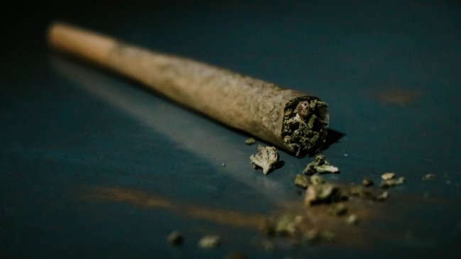 En libertad quedó conductor de 70 años que, drogado, atropelló gravemente a una joven