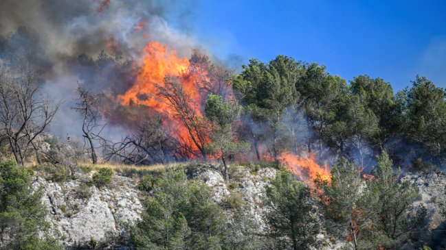 Violento incendio forestal asedia Marsella