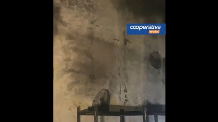   Mural de Nemesio Antúnez fue totalmente destruido en incendio en Santiago Centro 