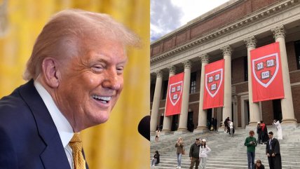   Harvard cede a Trump y cierra oficinas para minorías, LGBTQ y mujeres 