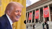 Harvard cede a Trump y cierra oficinas para minorías, LGBTQ y mujeres