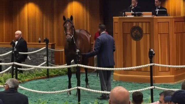 Haras de Carlos Heller logró récord en millonaria venta de ejemplar en remate de caballos fina sangre