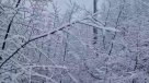 Gran acumulación de nieve: 138 personas están aisladas en La Araucanía