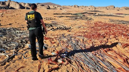   Más de cuatro toneladas de cables de cobre robados recuperó la PDI en Atacama 