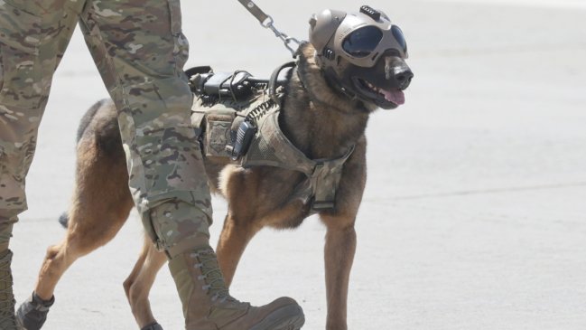 El adiós con honor de 