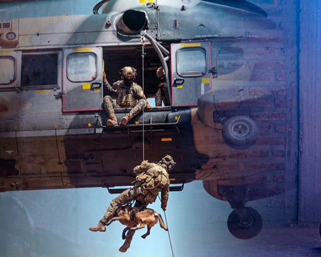 Imagen foto_00000011