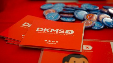   El plan para buscar donantes de células madre en los conciertos 