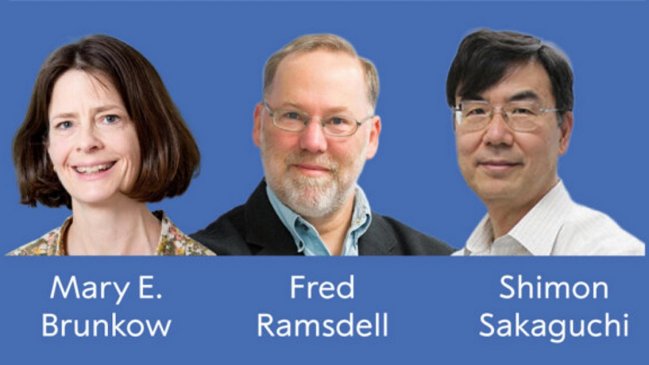 Premio Nobel de Medicina va a dos estadounidenses y a un japonés