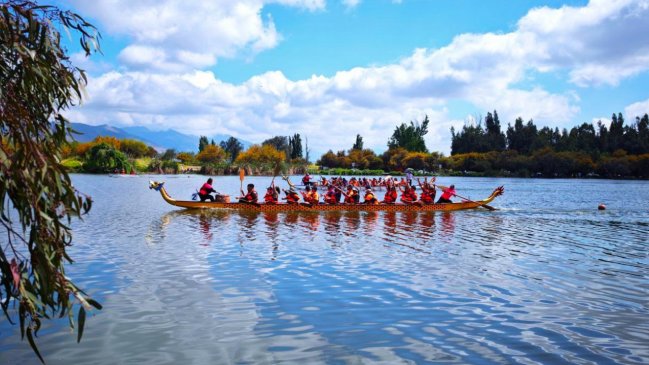 Fortale-Senos Chile celebrará este fin de semana la tercera edición del Festival del Bote de Dragón