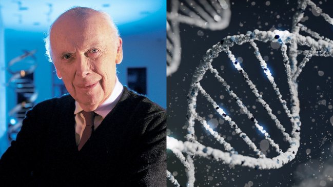 Murió James Watson, uno de los padres del ADN, a los 97 años