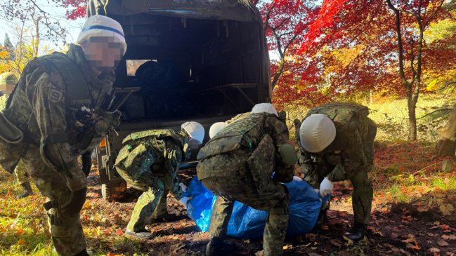 Japón refuerza medidas urgentes ante récord de ataques de osos
