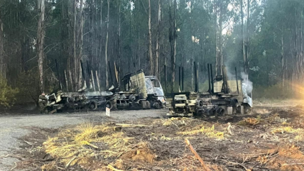 La Araucanía suma cuarto atentado incendiario en 48 horas