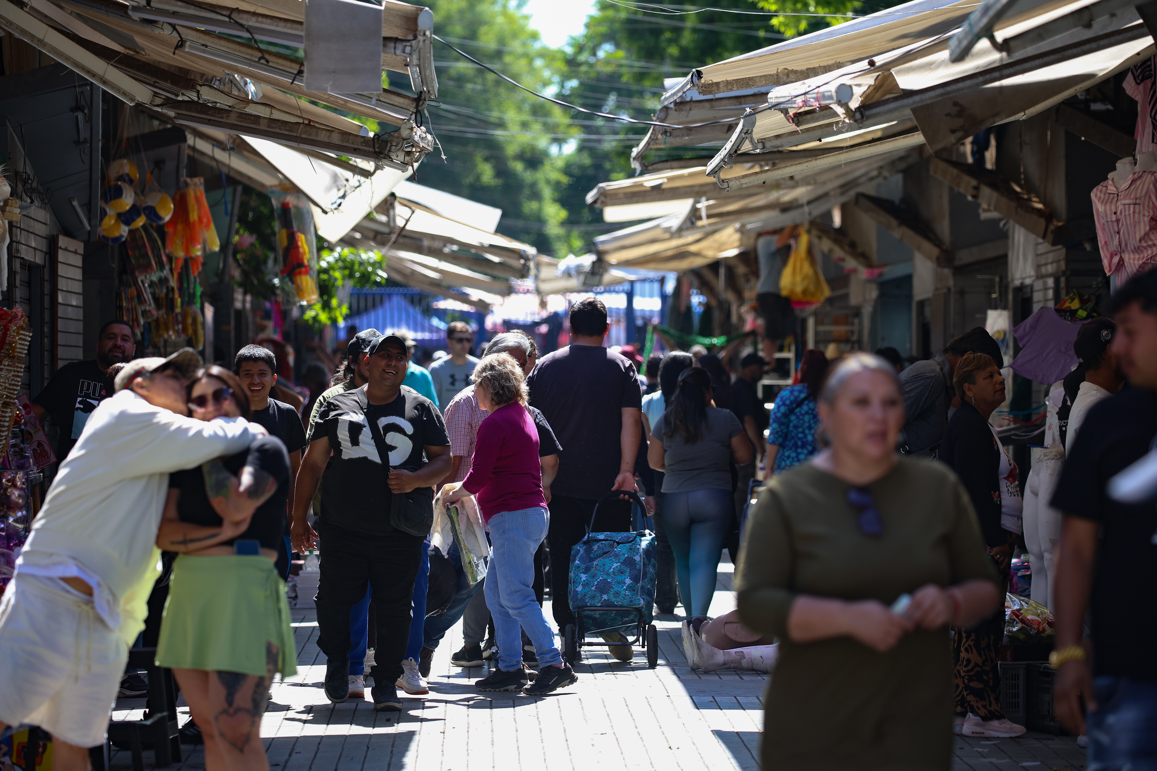 Imagen foto_00000012