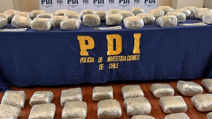 PDI incautó 