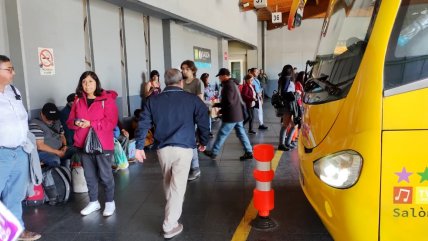   Municipio de Puerto Montt se querelló por amenazas contra fiscalizadora 