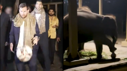   ¿Es de IA? El viral pase de Messi a un elefante en su visita a India 