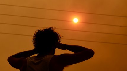   Conaf: Incendio en Melipilla 