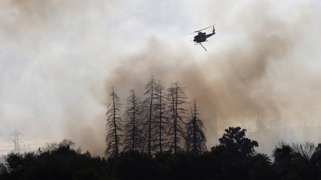 La Serena: Piden evacuar sector Población 18 de Septiembre por avance de incendio forestal
