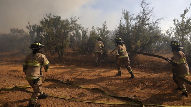 Senapred pide evacuar sectores de comuna de Maule por avance de incendio forestal
