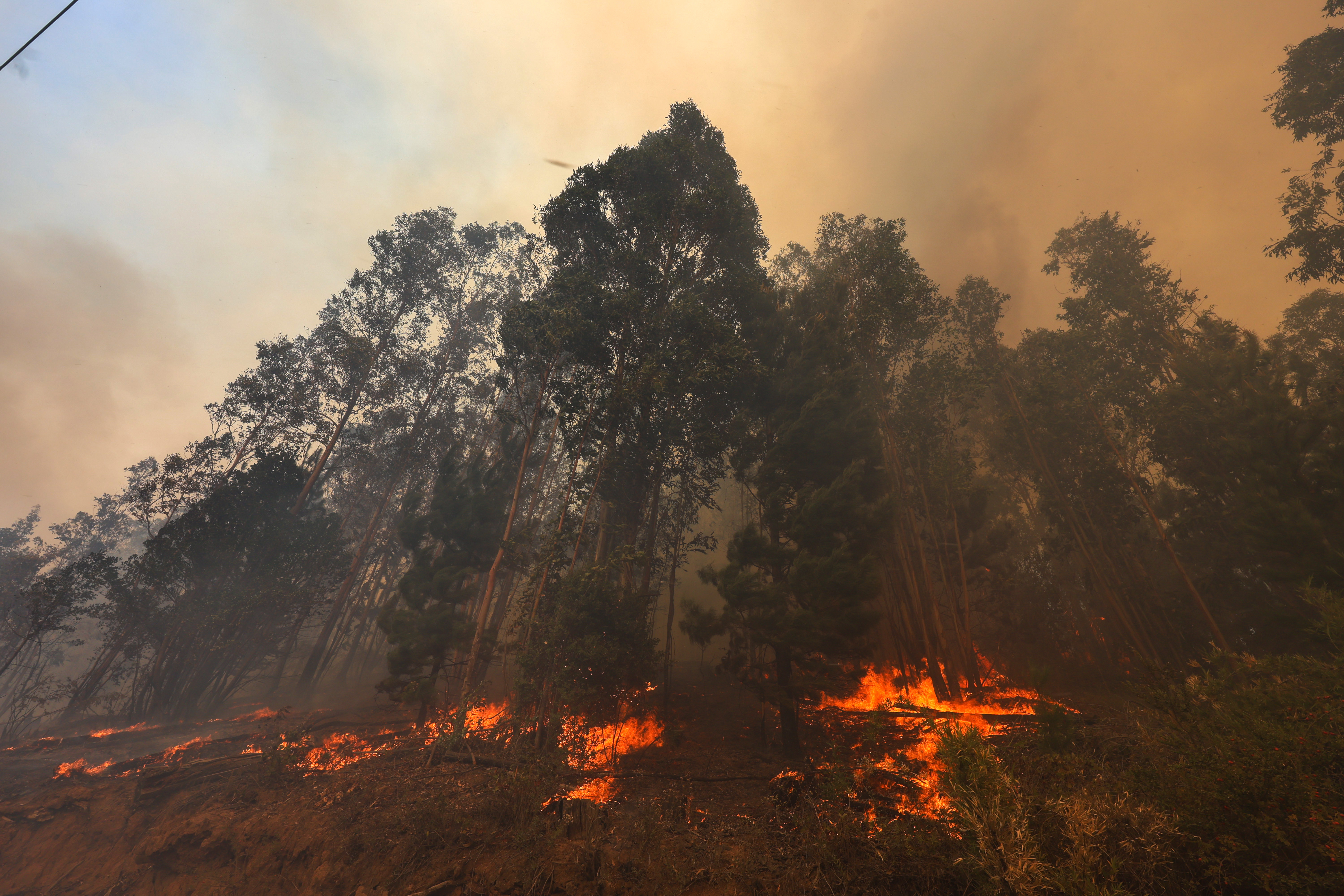 Imagen foto_00000012