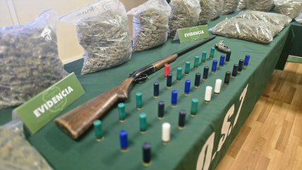  Incautan 320 millones en marihuana a una banda que operaba con delivery 