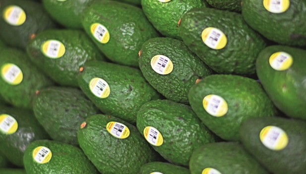 Imagen foto_00000002