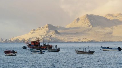   Histórico Tratado de Alta Mar entró en vigor para ofrecer más protección a los océanos 
