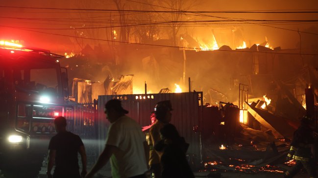 Ñuble y Biobío están bajo estado de catástrofe: Se registran 24 incendios forestales a nivel nacional