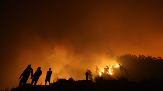 Incendios forestales en Biobío y Ñuble ya dejan 19 fallecidos confirmados