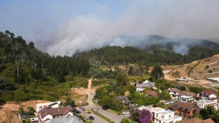   Viviendas de emergencia tras los incendios: requisitos y recomendaciones 