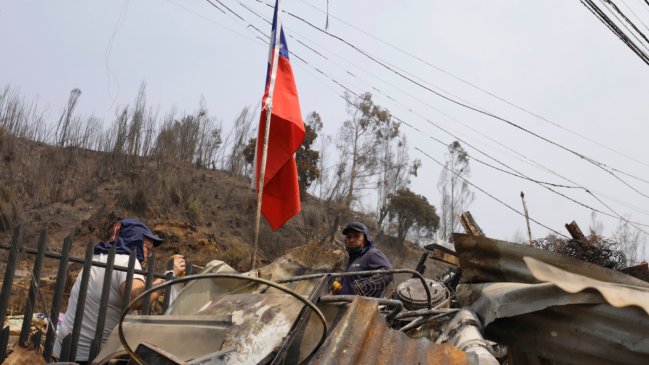 Condonaciones y flexibilidad: SII activó alivio tributario por incendios forestales