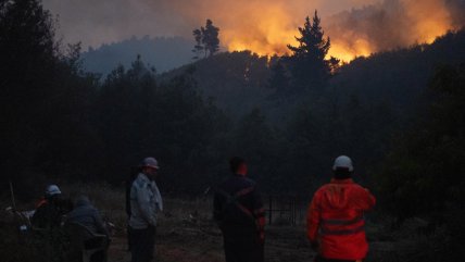   Colombia enviará a Chile un equipo de bomberos para ayudar a combatir incendios forestales 