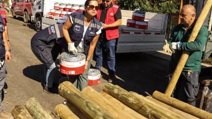   Gobierno declara emergencia agrícola en Ñuble por incendios forestales 