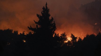 Greenpeace urge aprobar nueva ley de incendios en Chile en plena emergencia