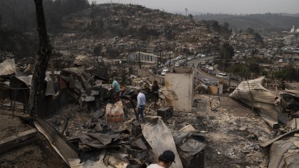   Plantaciones y desorden territorial: las claves humanas detrás de los incendios forestales 