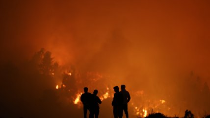   ACHS: Postergar la atención de salud mental ante catástrofes agrava el estrés postraumático 