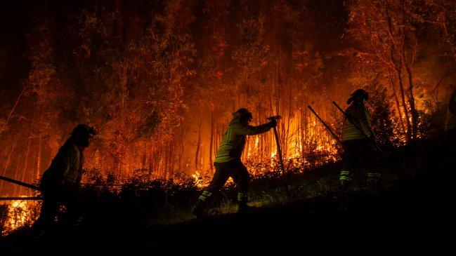 Incendios forestales: Brigadistas de La Araucanía llevan 15 días combatiendo la emergencia