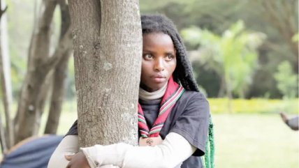   Récord Guinness: Activista climática abrazó a un árbol durante 72 horas 