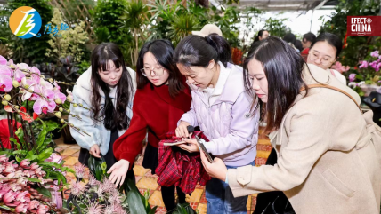   China apuesta por el turismo rural con experiencias culturales en Xiamen 