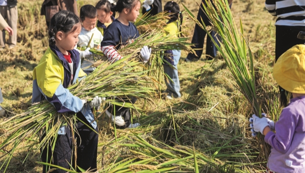 Imagen foto_00000012