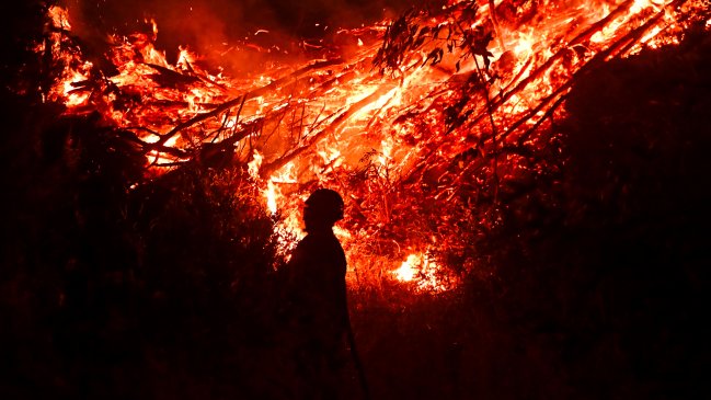 Incendio en Vichuquén: 300 hectáreas consumidas y tres casas afectadas