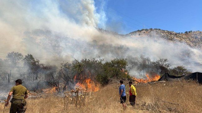 Alerta roja en Pirque por incendio forestal cercano a sectores poblados