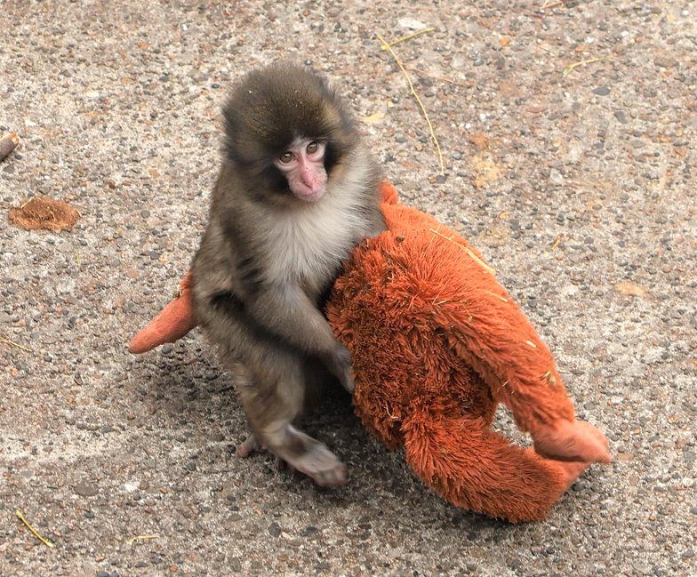 Imagen foto_00000014