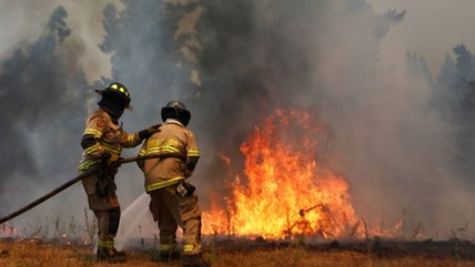   Alerta Roja en Perquenco: ordenan evacuación en dos sectores por incendio forestal 