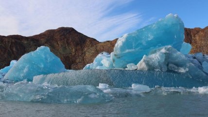   Paleobotánica: Hay fósiles idénticos en la Antártica y la Patagonia porque eran parte de Gondwana 